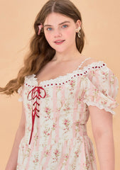Curve & Plus Audrey Tea Party Corset Dress